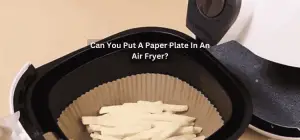 Can You Put A Paper Plate In An Air Fryer