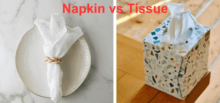 Napkin vs Tissue